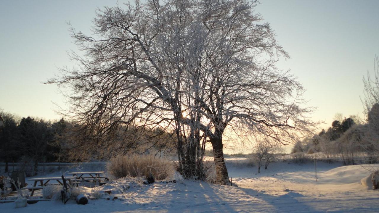 Kongsgard Bed & Breakfast Kalundborg Zewnętrze zdjęcie