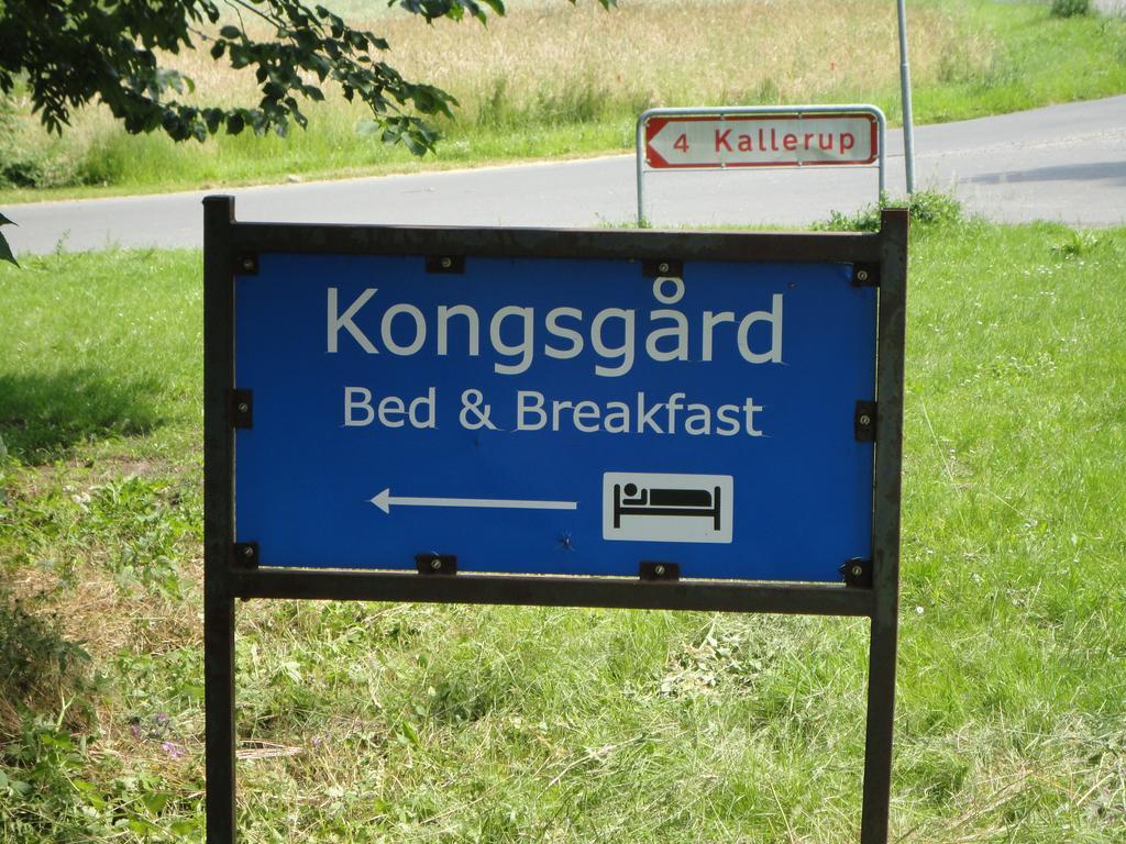 Kongsgard Bed & Breakfast Kalundborg Zewnętrze zdjęcie