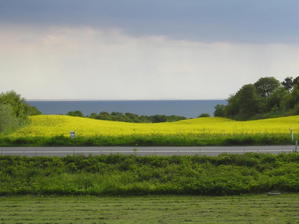 Kongsgard Bed & Breakfast Kalundborg Zewnętrze zdjęcie